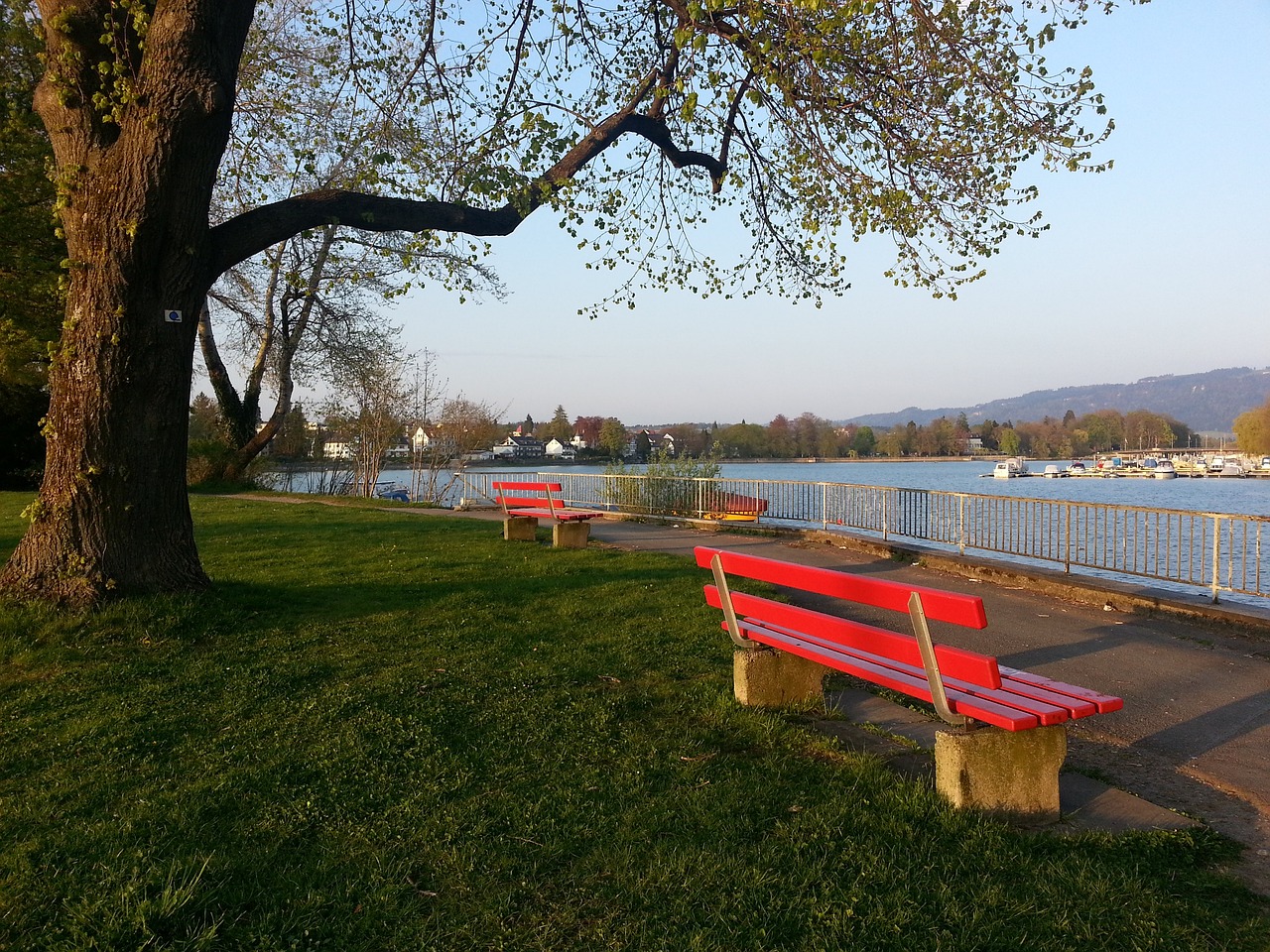 足球中超队医团队获肯定，伤病率下降