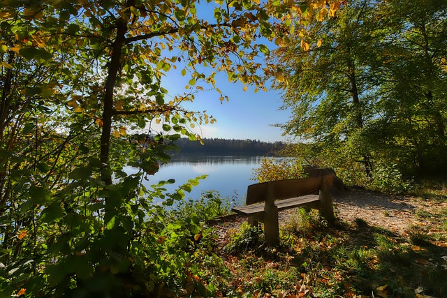 首届“百BA”广东百家姓篮球赛即将开幕，前广东宏远队球员王薪凯邀您赛场见！