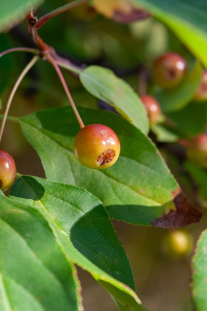 全球对赛事 全球对赛事