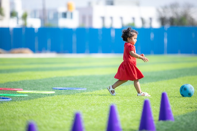 了长期关注 了长期关注