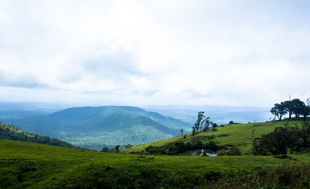 资本流动异 资本流动异